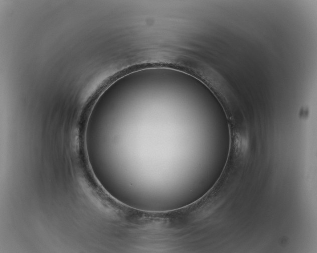 X0000112900676200908281726