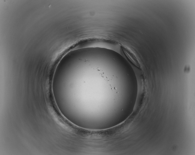 X0000112900677200908281726