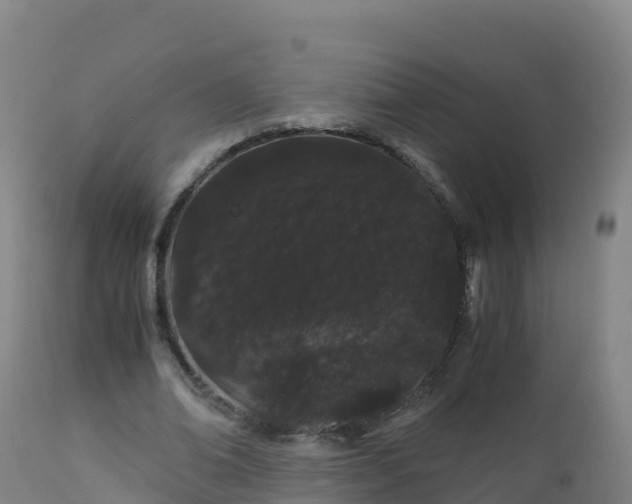 X0000112900678200908281726