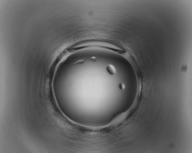 X0000112900679200908281726