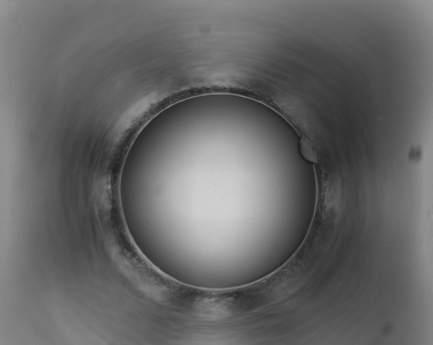 X0000112900680200908281726