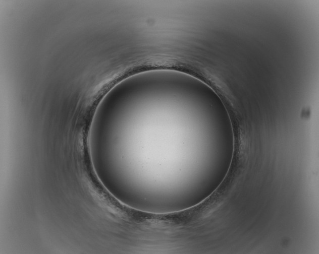 X0000112900681200908281726