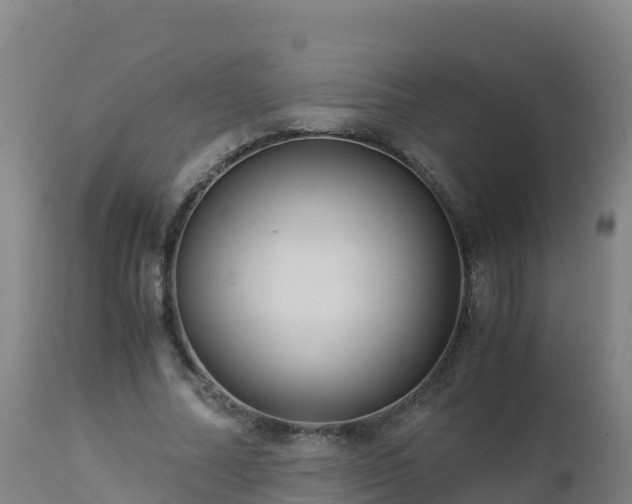 X0000112900682200908281726