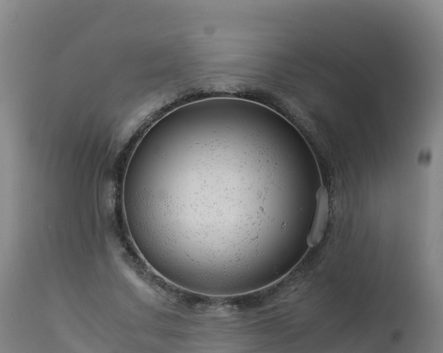 X0000112900683200908281726