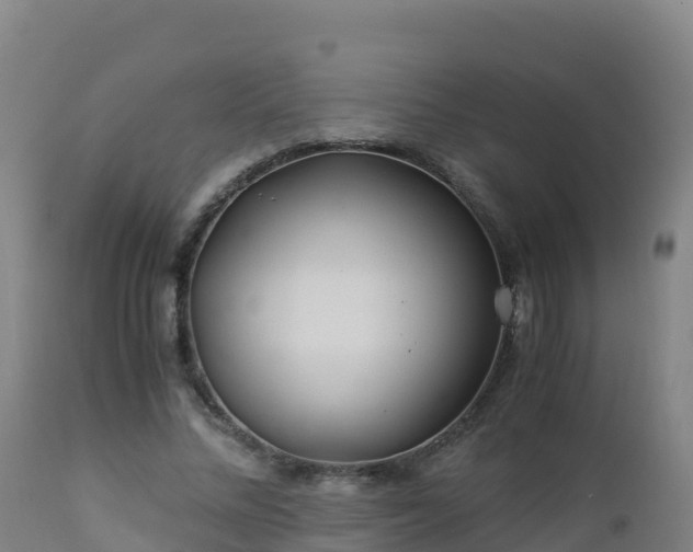 X0000112900684200908281726