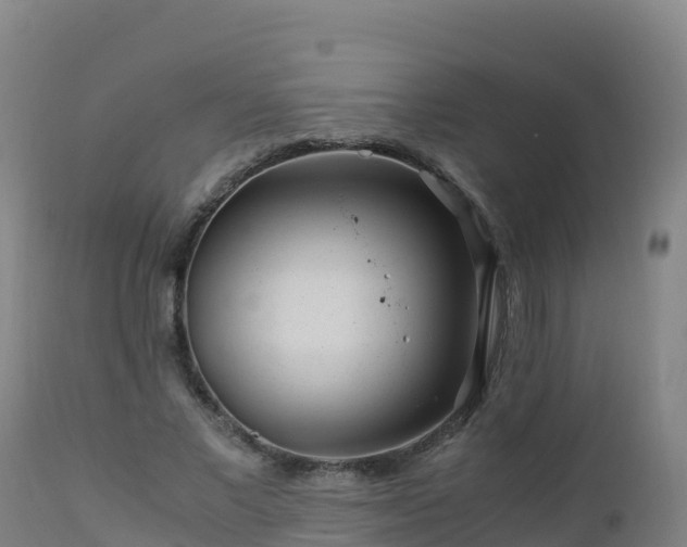 X0000112900685200908281726