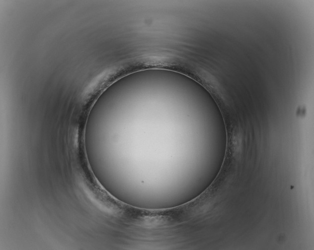 X0000112900686200908281726