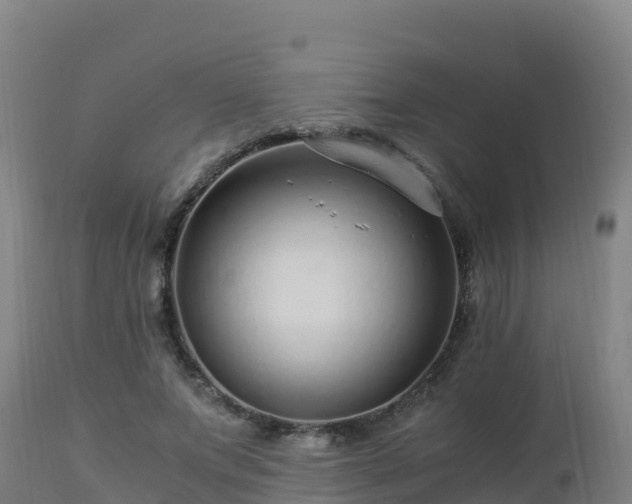 X0000112900687200908281726