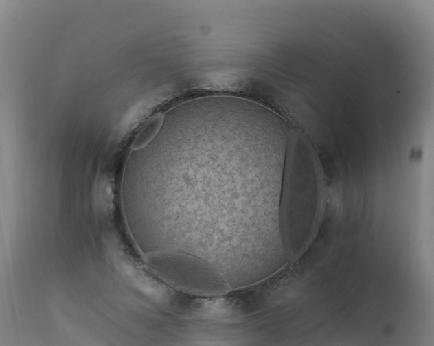 X0000112900688200908281726