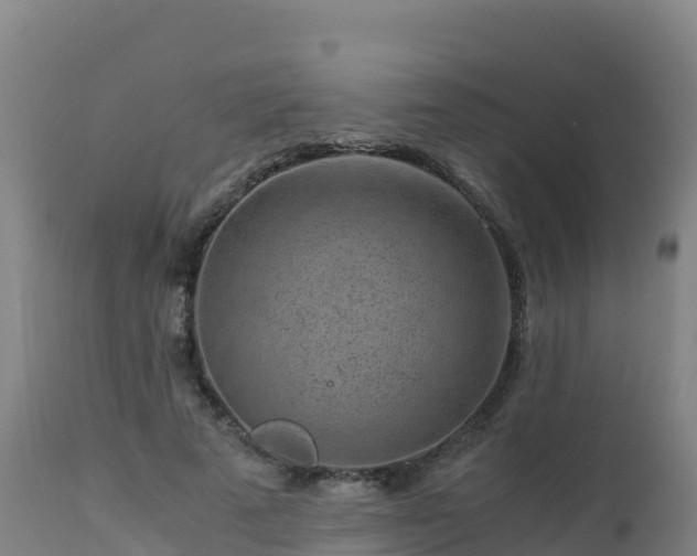 X0000112900689200908281726