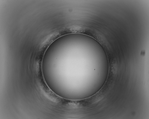 X0000112900690200908281726