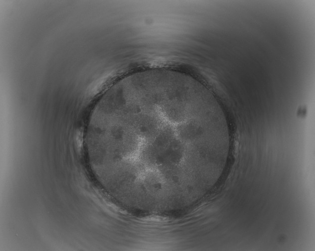 X0000112900691200908281726