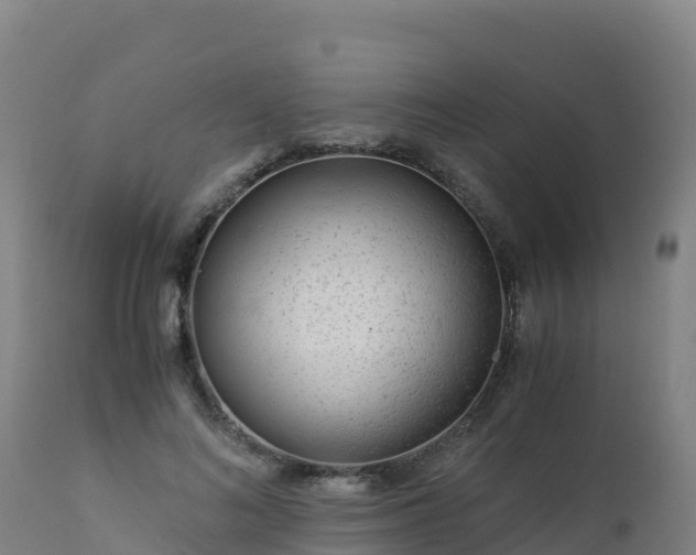 X0000112900692200908281726