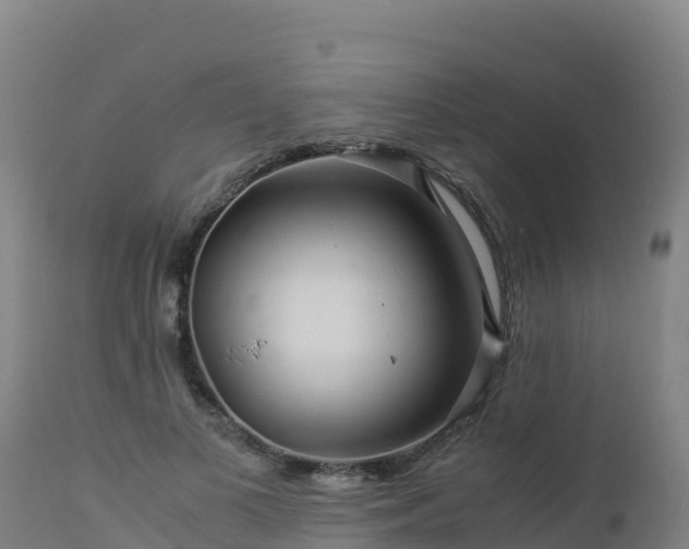 X0000112900693200908281725