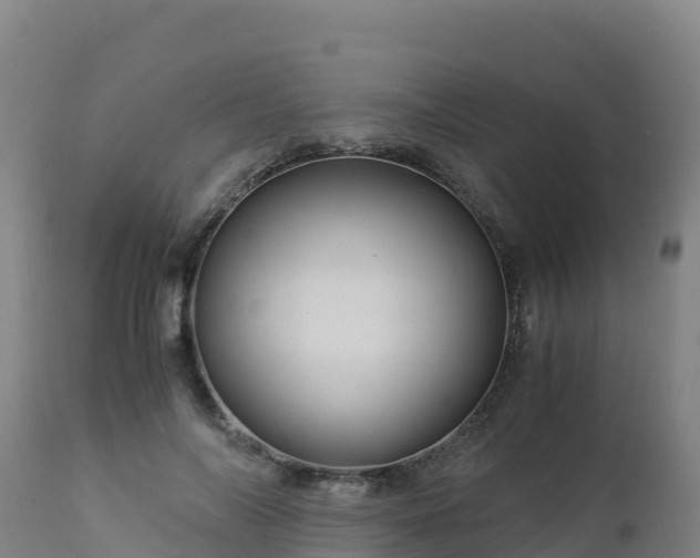 X0000112900694200908281725