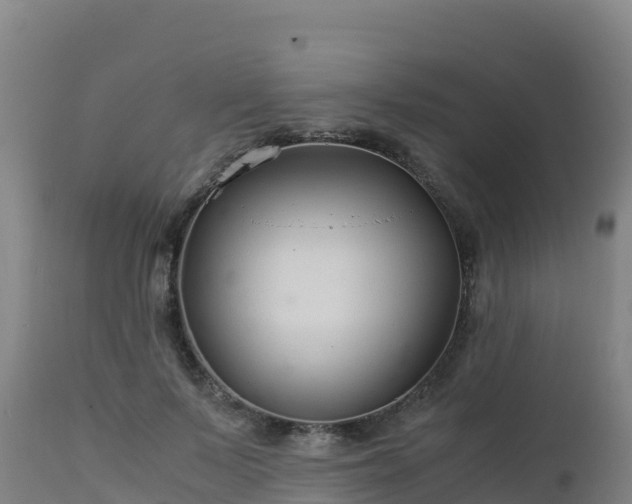 X0000112900695200908281725