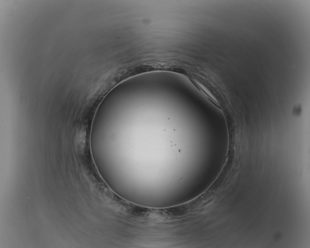 X0000112900697200908281725