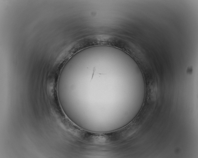 X0000112900698200908281725