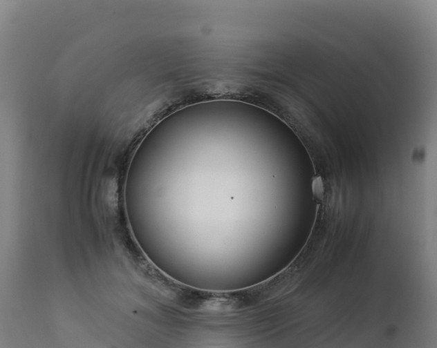 X0000112900700200908281725