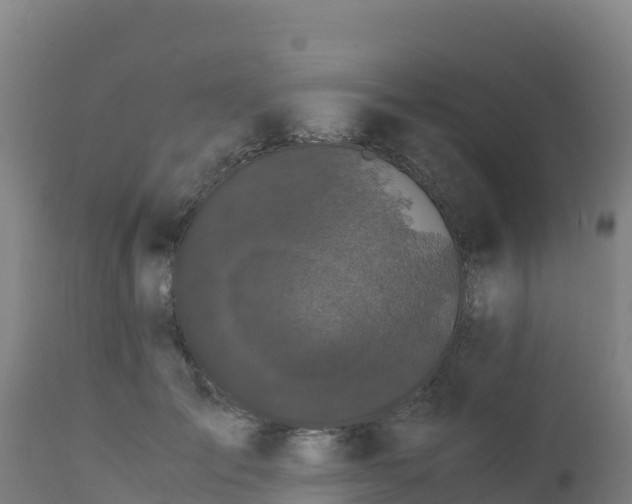 X0000112900701200908281725