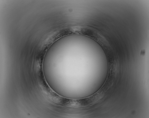 X0000112900702200908281725