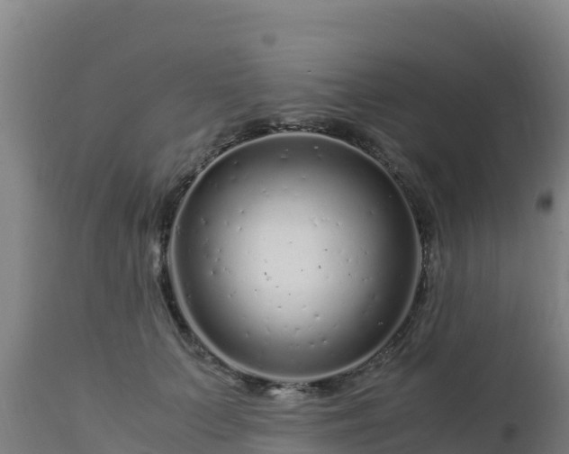 X0000112900703200908281725