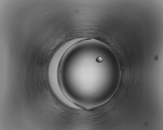 X0000112900704200908281725