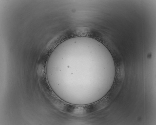 X0000112900705200908281725