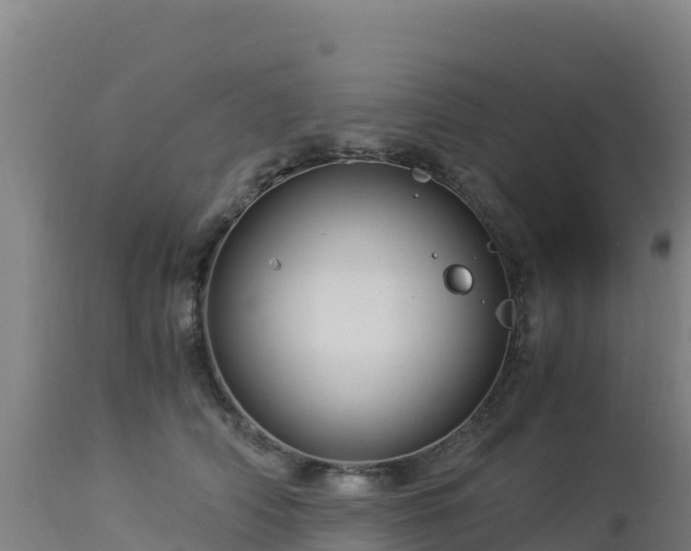 X0000112900706200908281725