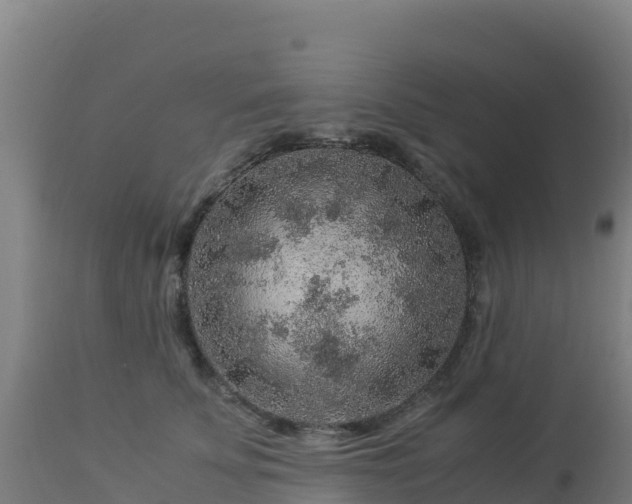 X0000112900707200908281725