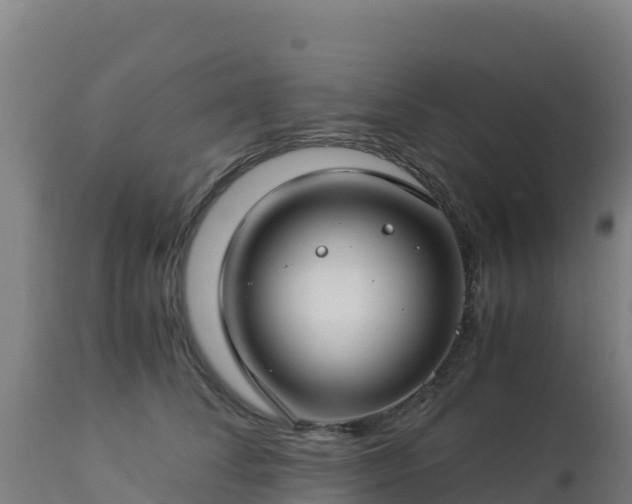 X0000112900708200908281725