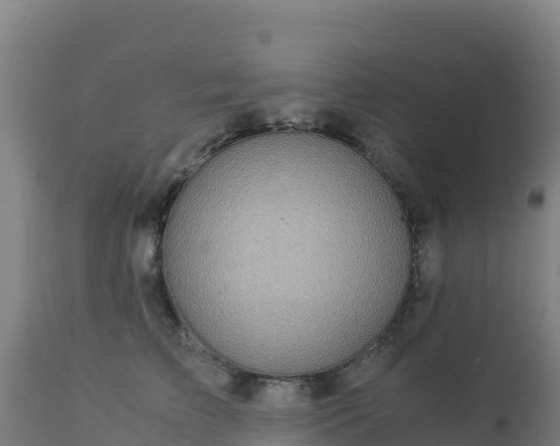 X0000112900709200908281725