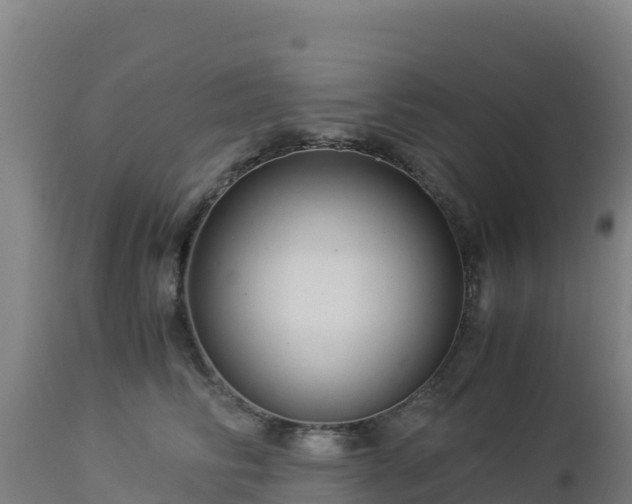 X0000112900710200908281725