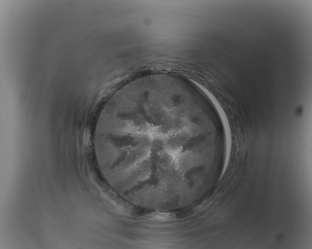 X0000112900711200908281725