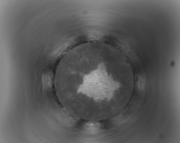 X0000112900712200908281725