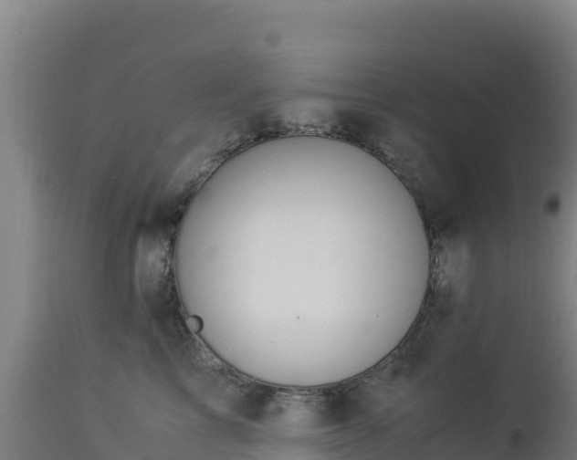 X0000112900713200908281725