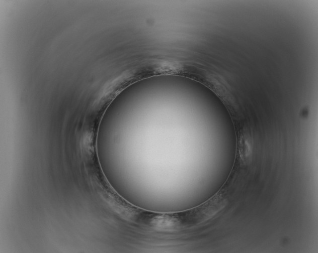 X0000112900714200908281725