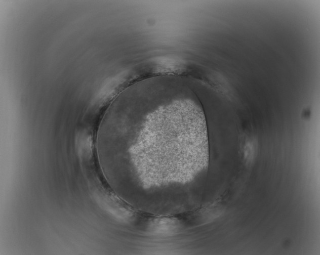 X0000112900716200908281725