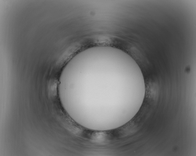 X0000112900717200908281725