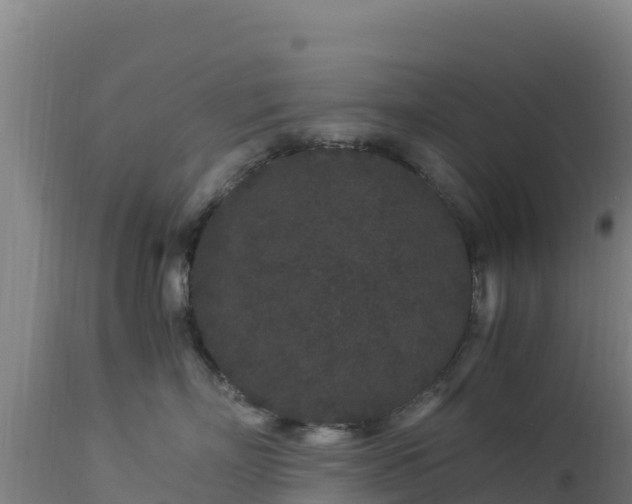 X0000112900718200908281725