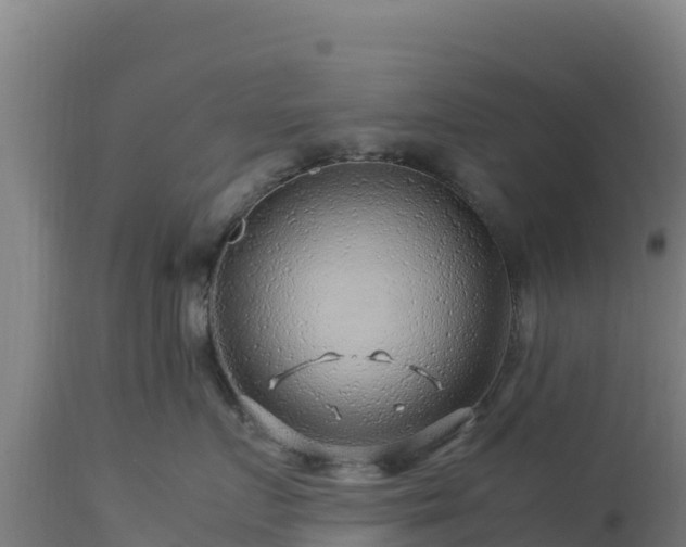 X0000112900719200908281725