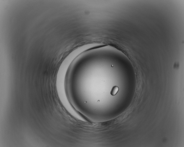 X0000112900720200908281725