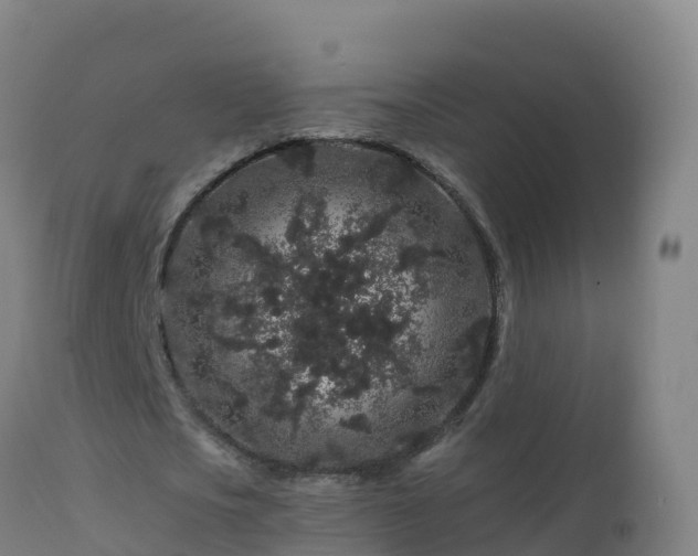 X0000112900721200908281724