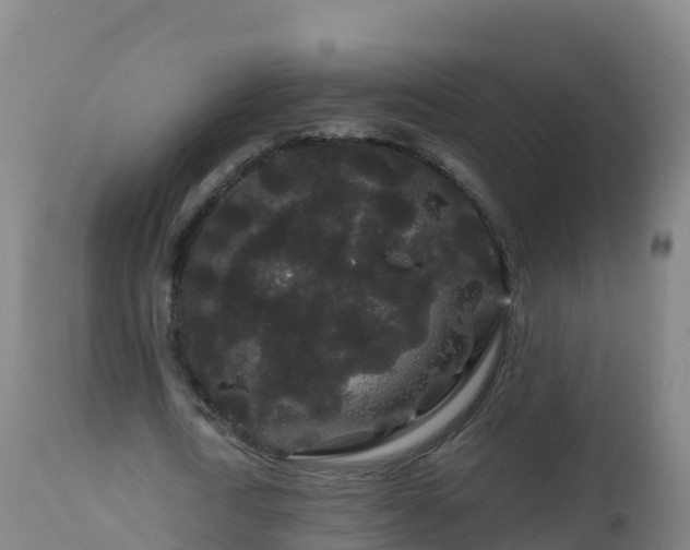 X0000112900722200908281724