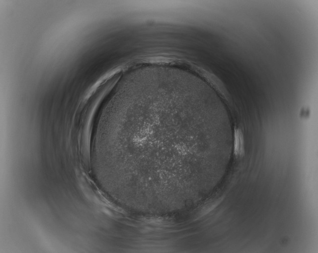 X0000112900723200908281724