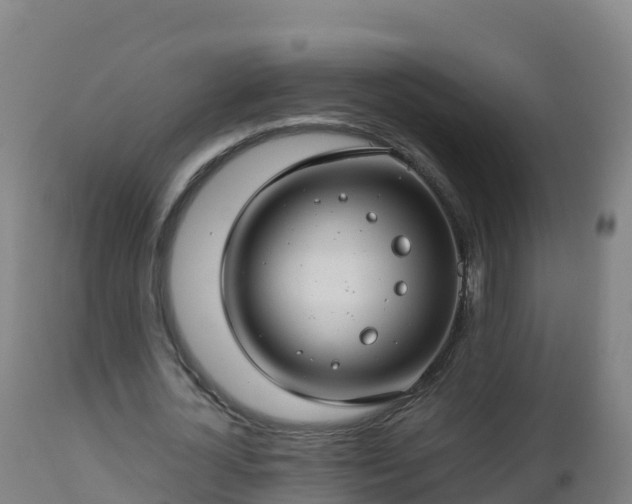 X0000112900724200908281724