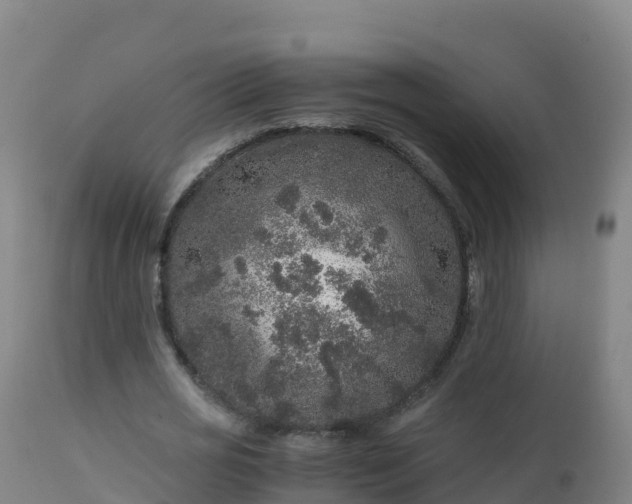 X0000112900725200908281724