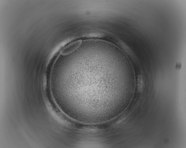 X0000112900726200908281724