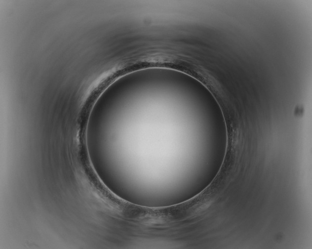 X0000112900727200908281724