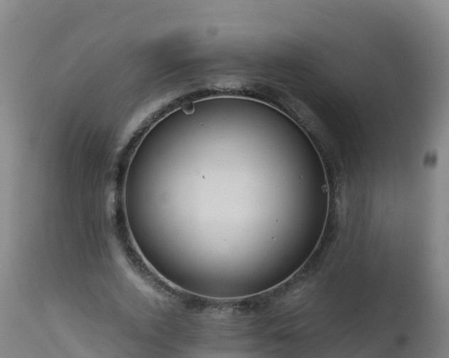 X0000112900728200908281724